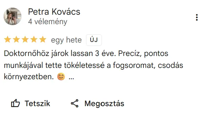 Profidental értékelés